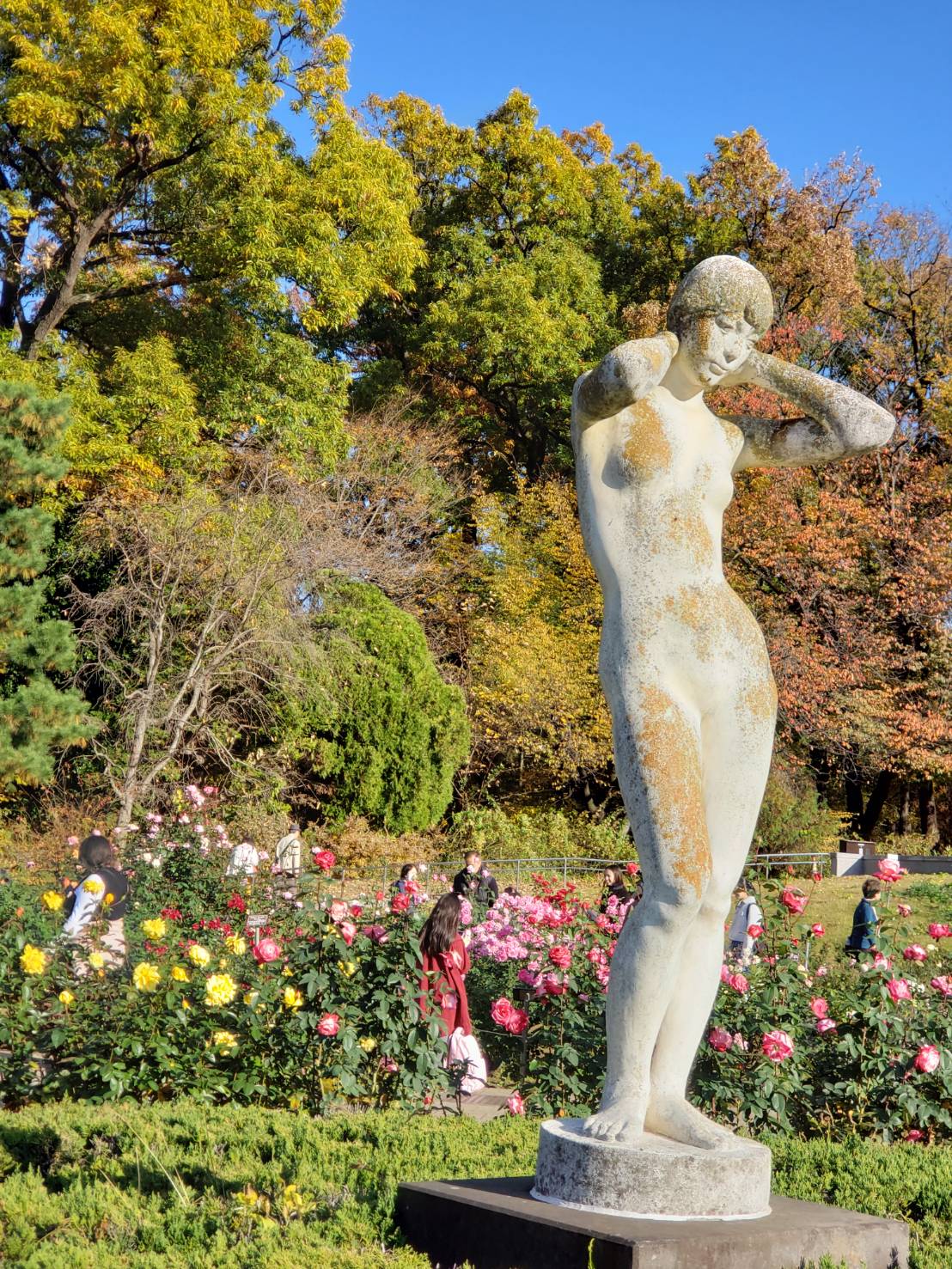 レジャー│深大寺植物園