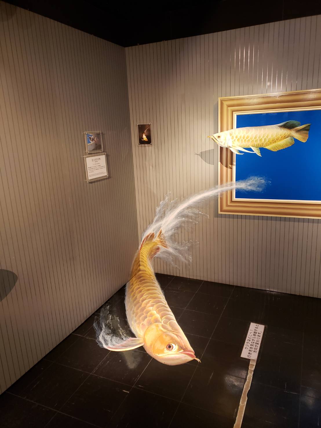 トリックアート美術館
