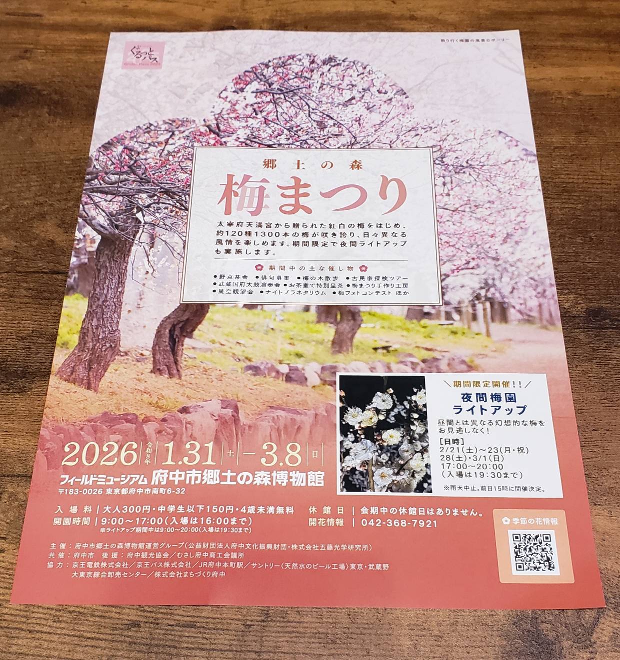 イベント｜府中市郷土の森博物館 梅まつり