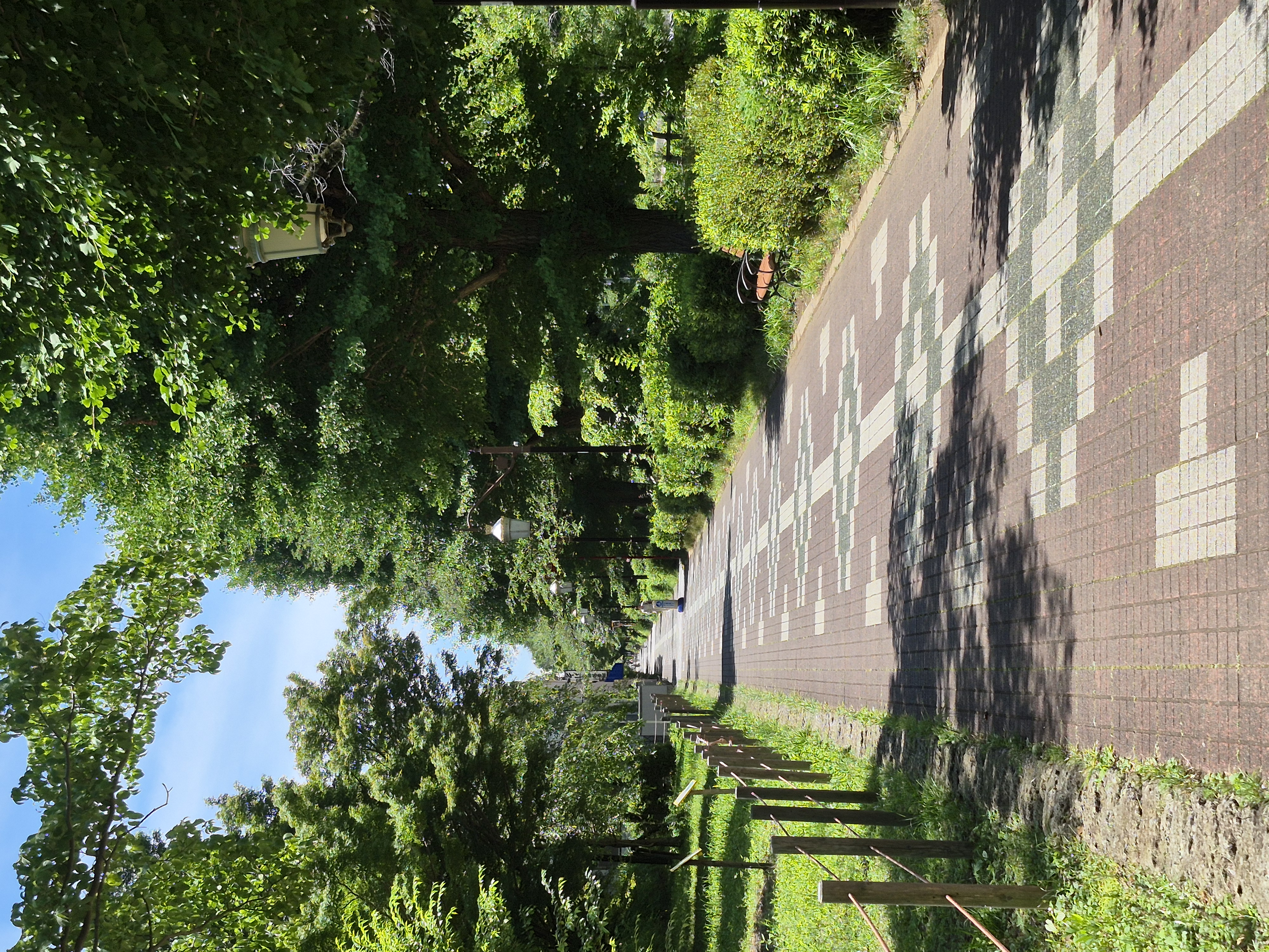 スポット｜大学通り